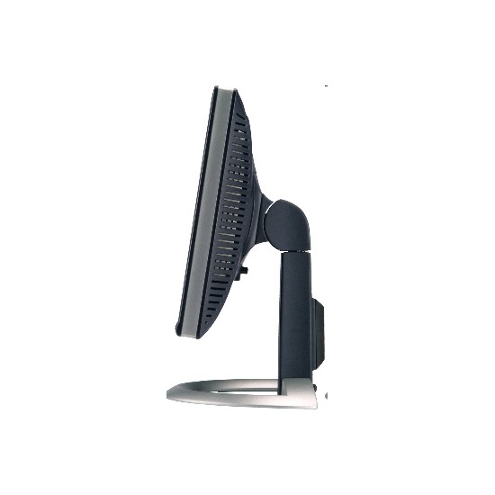 Monitor Dell 2001FP 20,1" UXGA A+ | Qualità superiore
