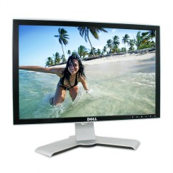 Monitor Dell 2007WFP 20" WSXGA+ A+ con cavo video