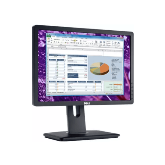 Monitor Dell P1913 19" WXGA+ A+ con cavo video
