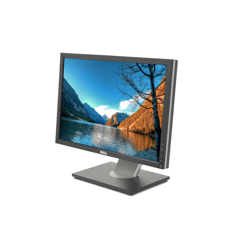 Monitor Dell Ultrasharp 1909Wf 19" LCD Qualità A+