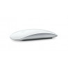 Apple Magic Mouse 2 A1657, 2021, Argento, A+
