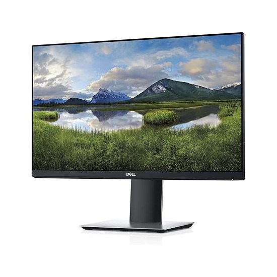 Dell P2319H IPS 23" Full HD · Monitor Professionale Dell